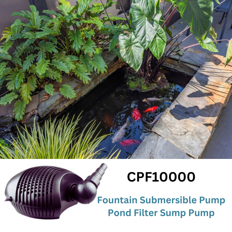 Found Filter Pump CFP10000 in application